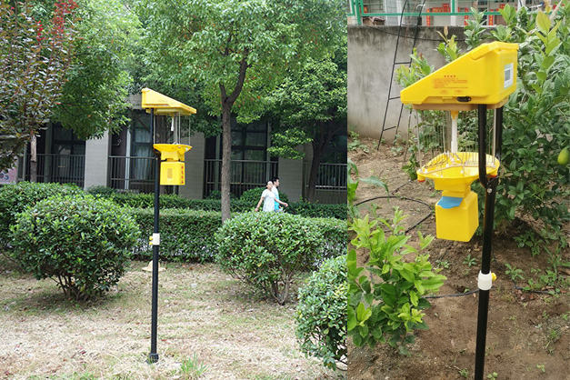 小區太陽能滅蚊燈