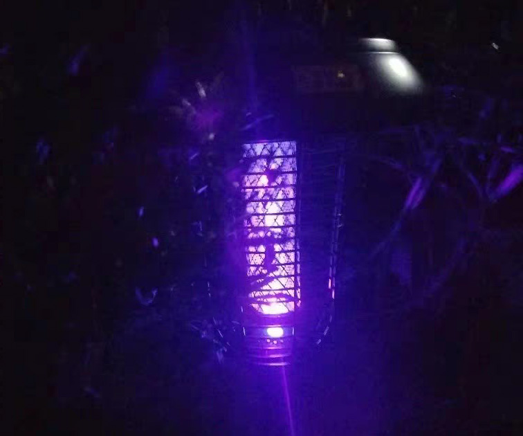 滅蚊燈效果，夜晚亮紫光的戶外滅蚊燈